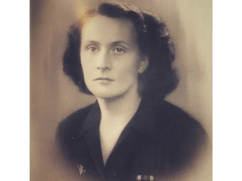 Cathérine Dior hat Rosen&nbsp;gezüchtet